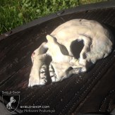 Detail of a hand-sculpted skull on our "Two Skulls" shield.